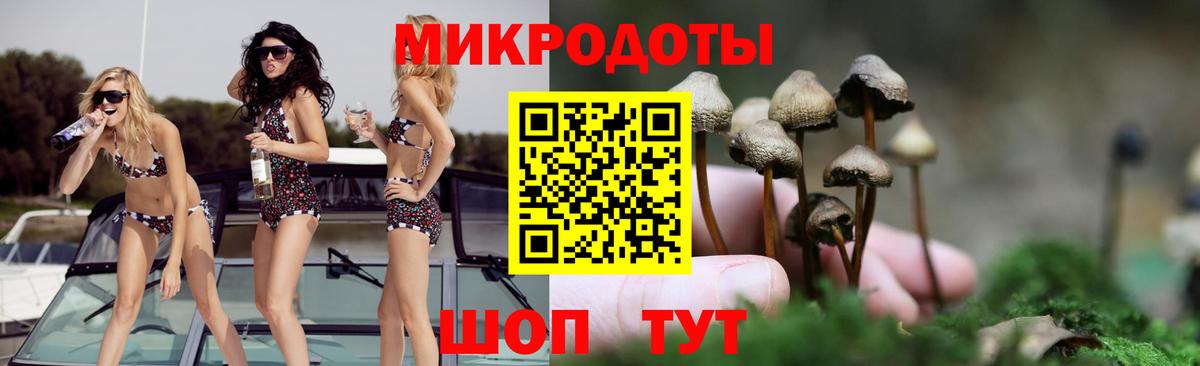 Псилоцибиновые грибы Cubensis  Вход с VPN  Рославль 